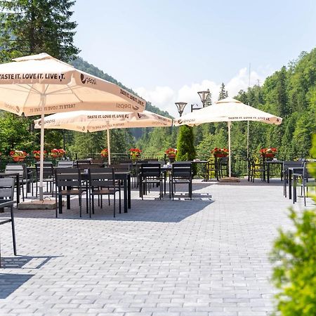 Piscul Negru Hotel - Transfagarasan Cumpăna 외부 사진