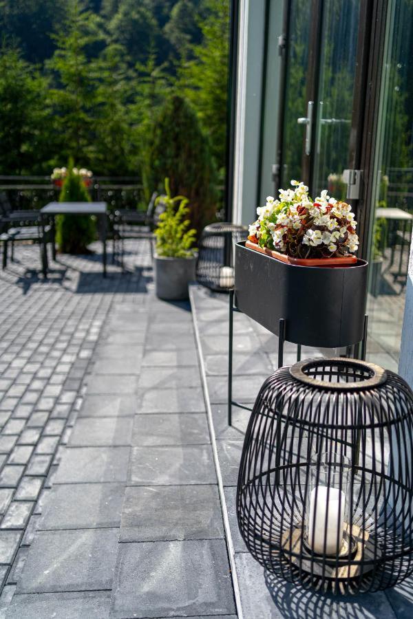Piscul Negru Hotel - Transfagarasan Cumpăna 외부 사진