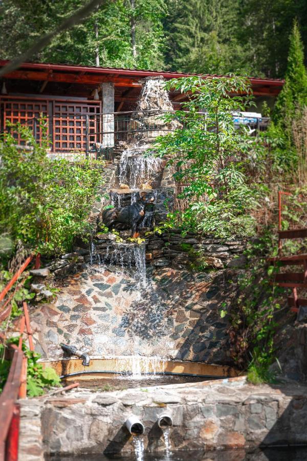 Piscul Negru Hotel - Transfagarasan Cumpăna 외부 사진