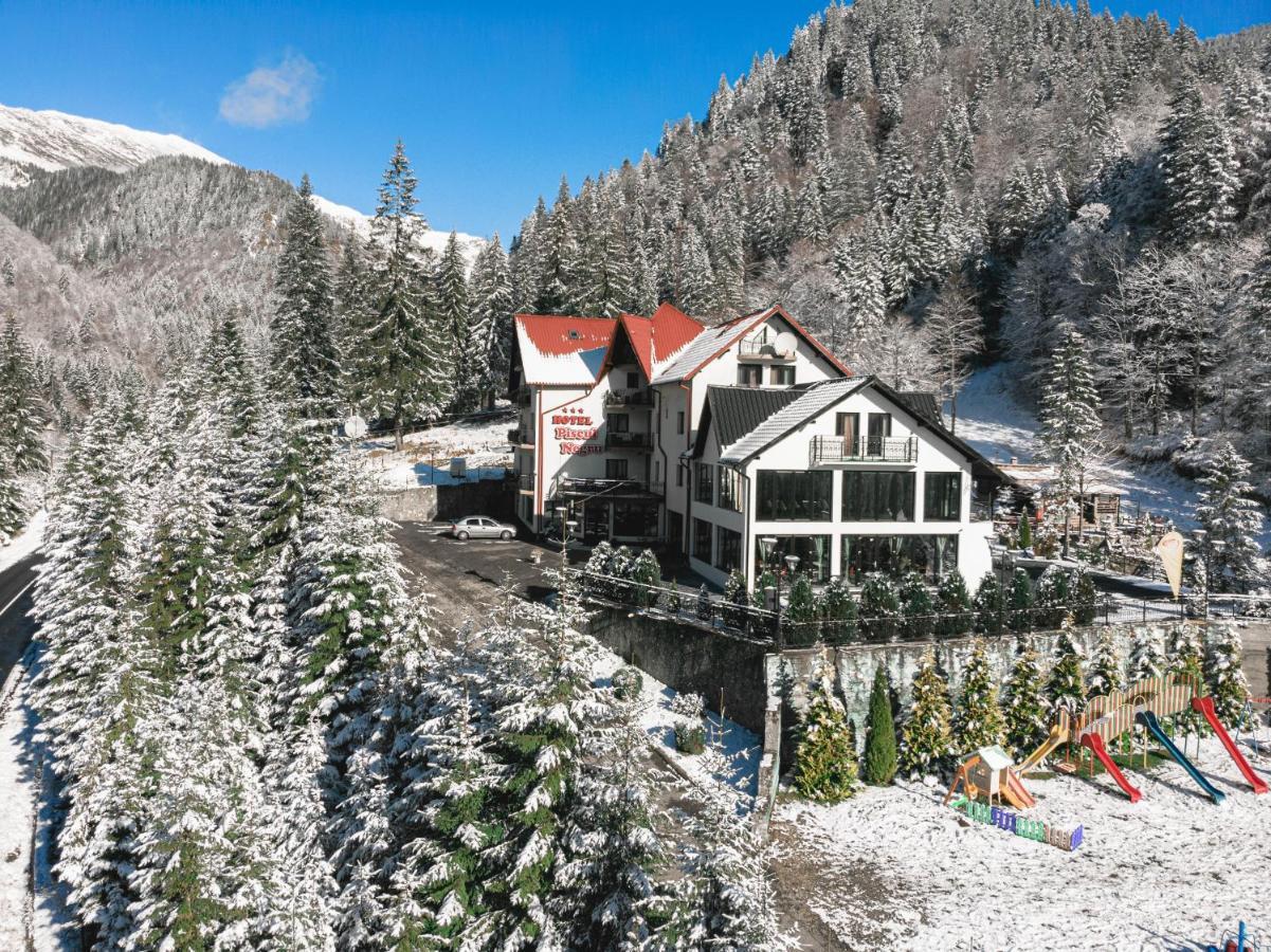 Piscul Negru Hotel - Transfagarasan Cumpăna 외부 사진