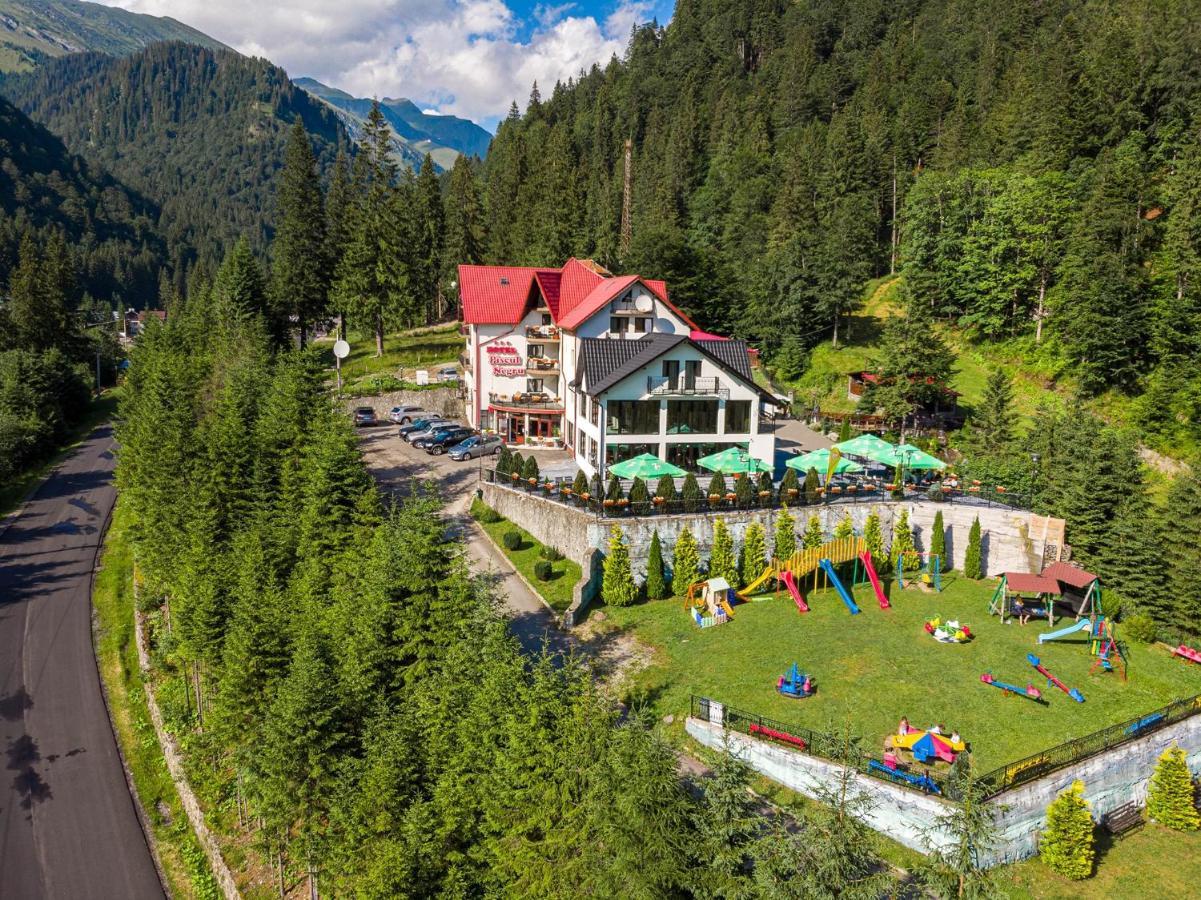 Piscul Negru Hotel - Transfagarasan Cumpăna 외부 사진