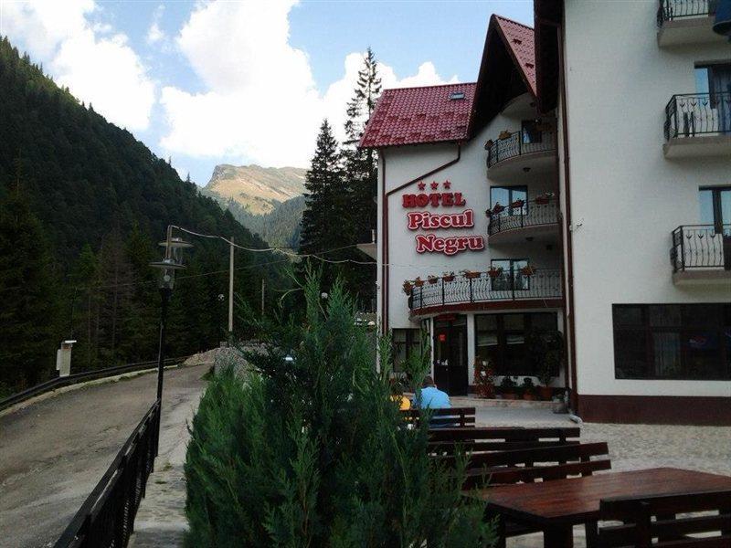 Piscul Negru Hotel - Transfagarasan Cumpăna 외부 사진